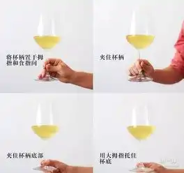  葡萄酒行家怎样hold住笨重的酒杯