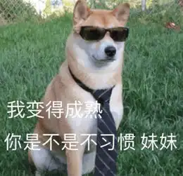  好评如潮新游史低还不赶紧一起成为拯救地球的超级英雄带着美国警察,在东京维护治安和纸片女友谈恋爱不买也要康康
