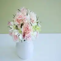 女人用的幸运花头像微信头像图片大全