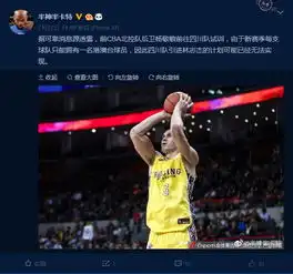  曝四川男篮试训杨敬敏或已无缘引进宝岛野兽