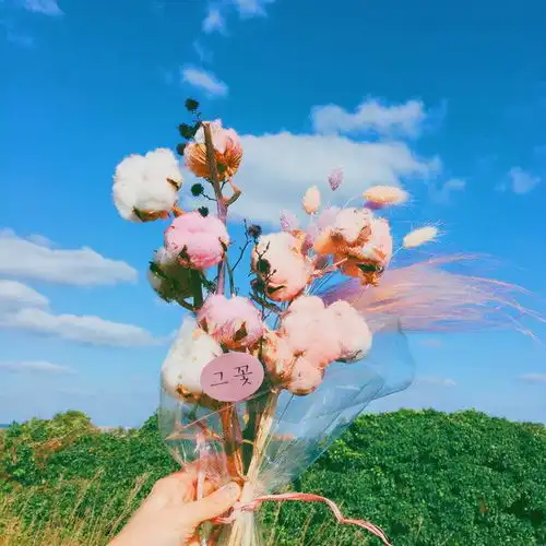  很棒的文案短句带图,做个快乐的憨憨,眼里有光心中有爱