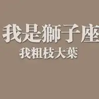  狮子座用什么图像做微信微信头像图片大全