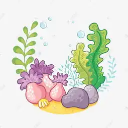  手绘海底生物素材图片免费下载高清png千库网图片编号9275595