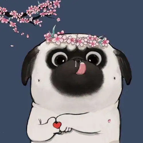  巴扎黑和斗牛犬的区别巴扎黑是什么狗
