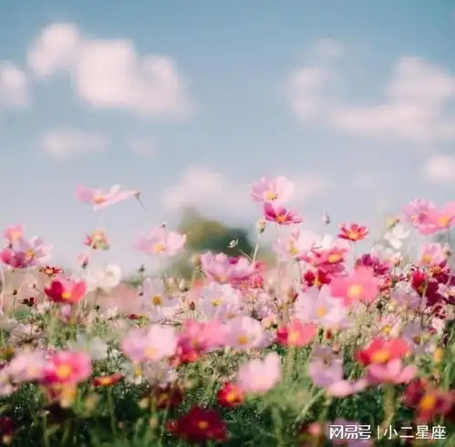  你越不理他,他越喜欢你,这三个星座就是贱贱的