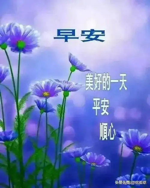  早安问候美图盼平安健康,祈好运伴随8月11日