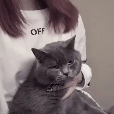  温柔抱猫部位闺蜜头遇到那么多女生头像我要个性网