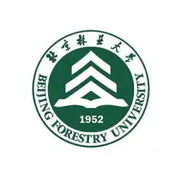 简单的头像清新脱俗北京