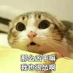 闺蜜双人头像猫咪表情包