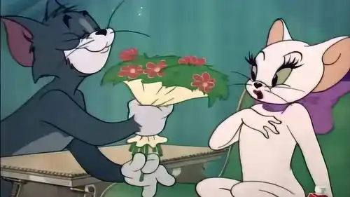  猫和老鼠汤姆送给美女猫一只会跳舞的老鼠