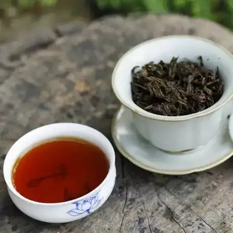 一书一茶韵微信头像茶叶