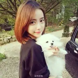  安亚风的作者专栏