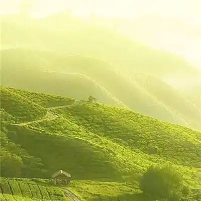风景吉利微信头像