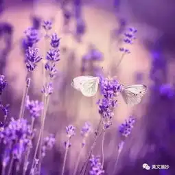  有了这十句话,一切都海阔天空美文摘抄