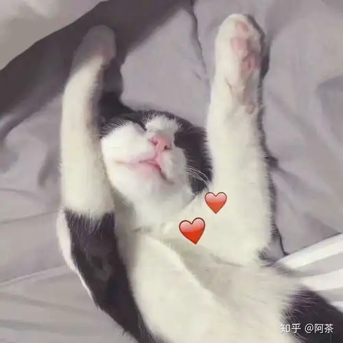  你见过最好看的情头是什么