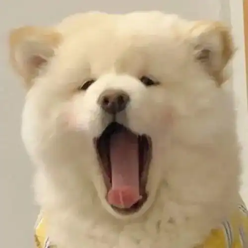 微信头像背景图套图