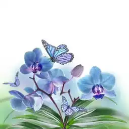  四月是一个孩子,总向着春天的阳光