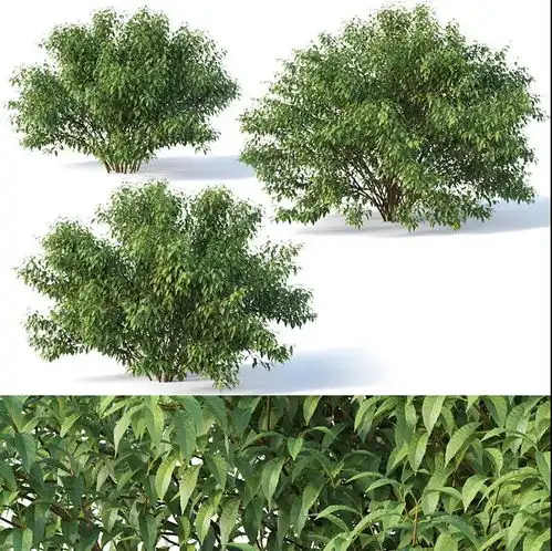  17套景观花卉灌木树木3dmax模型景观园林设计素材创意场景