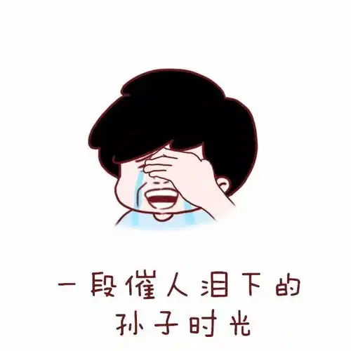  本想活成令人羡慕的样子,却不料活成了搞笑段子