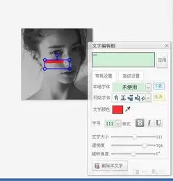  这种图片,美图秀秀怎么弄