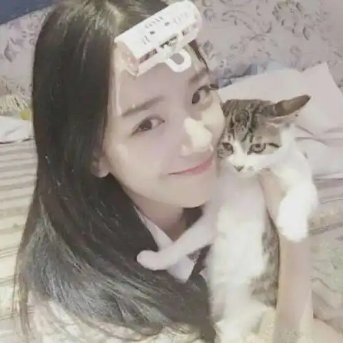  超漂亮的女生抱着萌宠合照头像
