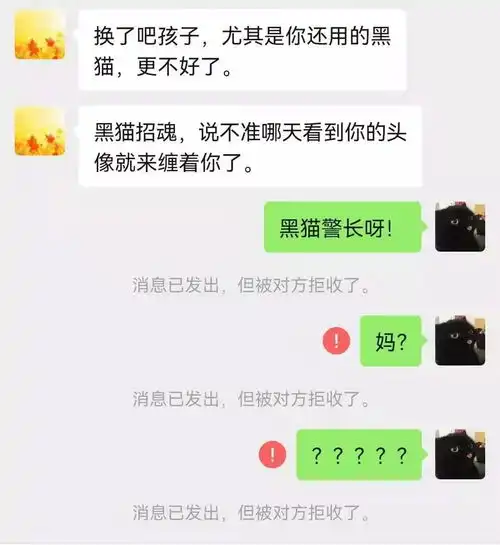  妈别用猫做微信头像不吉利