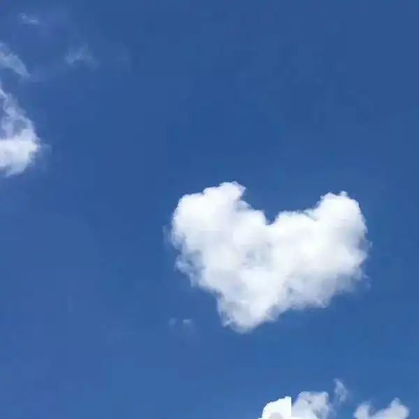  伤感的句子喜欢一个人有错吗