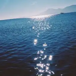  一直把你们当成最好的兄弟,你却把我当成傻子,我傻了很久胡须乱了的美拍