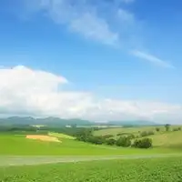 紫色山水风景微信头像草