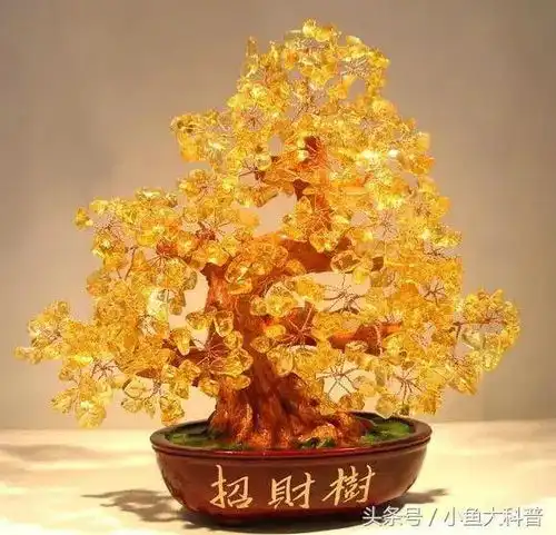  测试你喜欢哪个招财树测试你一生会遇到多少贵人