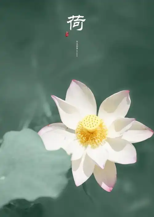  什么照片会给你留下印象这组照片中你喜欢哪张