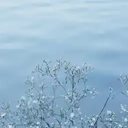  做销售,我如何从底薪800到月入过万