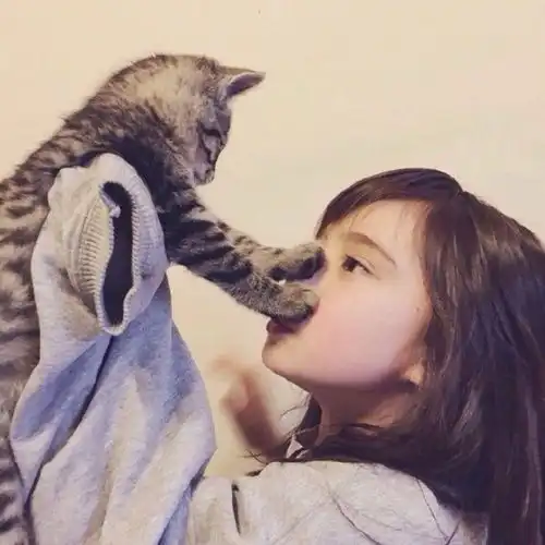  头像甜系抱猫女头像