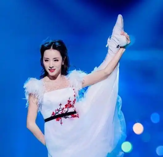  央视美女主持李思思,嫁60岁富豪老头忍无可忍说出真相