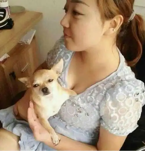  为什么有的女生床上会有很多萌宠