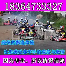  百一牌赛道专用卡丁车竞技卡丁车价格