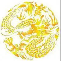  中国最霸气的龙头像微信头像图片大全