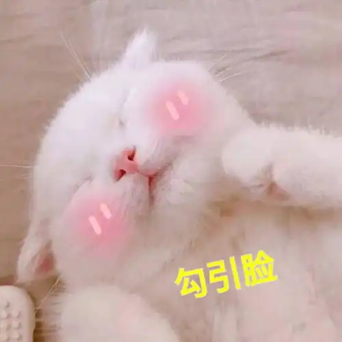  哦收藏夹
