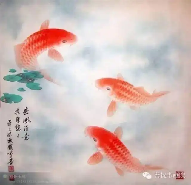  写意工笔画鱼的画法步骤