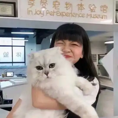  小茶又到了手脚冰凉的季节风已女生头像我要个性网