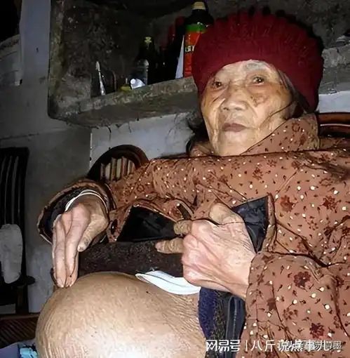 老人的头像微信头像女老