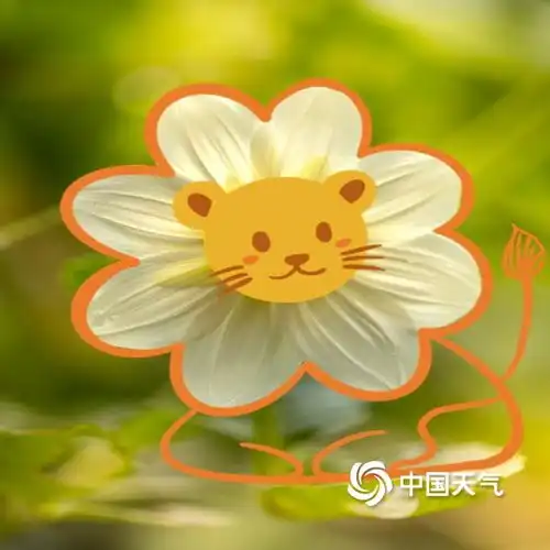  天然画布春天的花花美照还可以这样玩