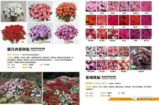  2019中世花卉花海图鉴免费领取