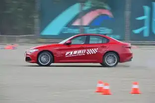 罗密欧与朱丽叶,可能注定与四叶草最配