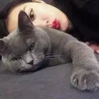 可爱猫咪头像女生霸气高