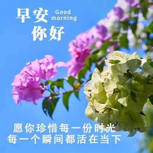  2024年5月11日早安图片大全,岁月温柔常安好,目光所及皆好运,四季平安,一生幸福