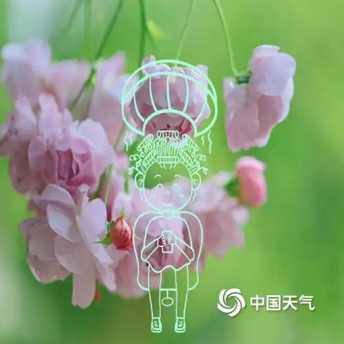  天然画布春天的花花美照还可以这样玩