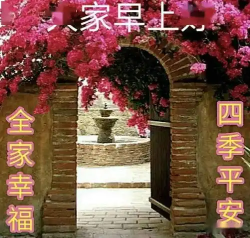  2020最新早上好鲜花唯美动态祝福图片新版微信早安问候语精选