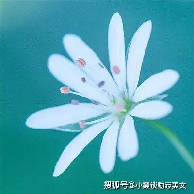  连皇帝都想娶的9个生日尾数女,人美更旺财,早娶早富贵