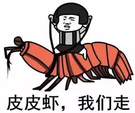  2017上半年最火流行语全在这儿你被哪句刷过屏
